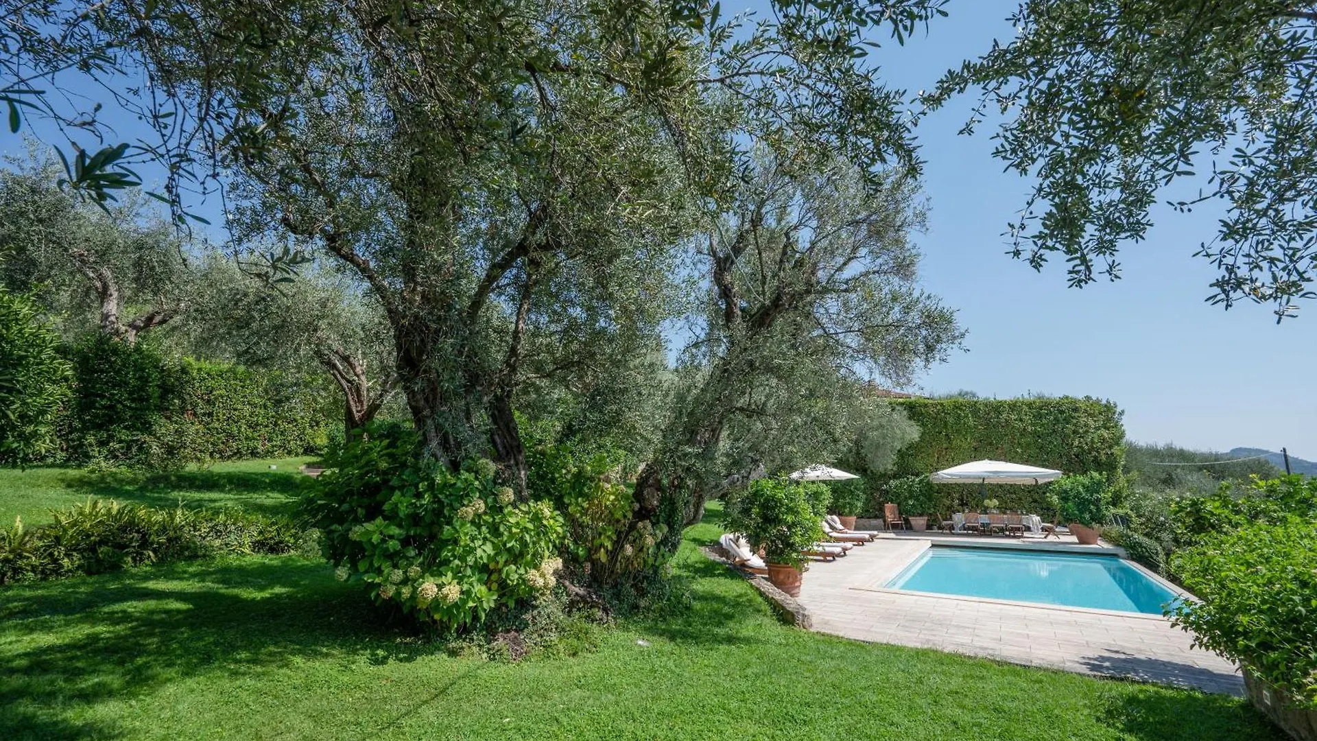 Villa Eden Forte Dei Marmi With Private Infinity Pool Santa Lucia  Italien