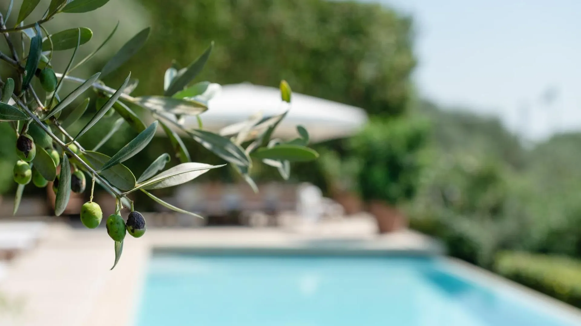 Villa Eden Forte Dei Marmi With Private Infinity Pool Santa Lucia